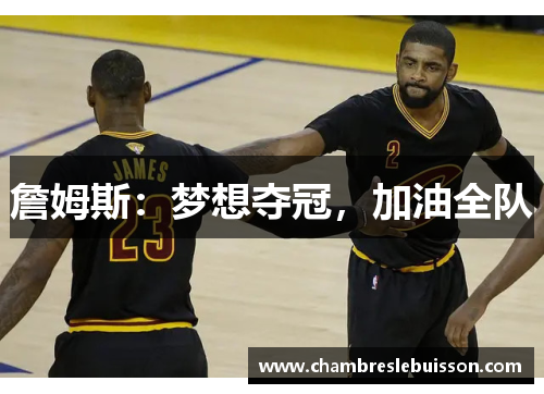 詹姆斯：梦想夺冠，加油全队