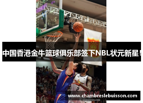 中国香港金牛篮球俱乐部签下NBL状元新星！